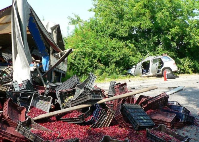 Truck Full of Cherries Accident (12 pics)