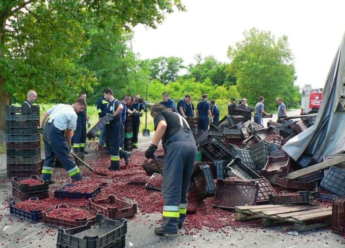 Truck Full of Cherries Accident (12 pics)
