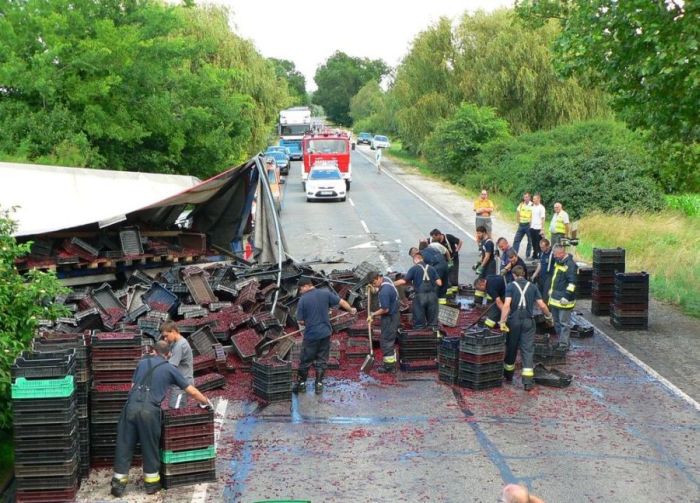 Truck Full of Cherries Accident (12 pics)