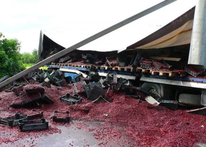Truck Full of Cherries Accident (12 pics)