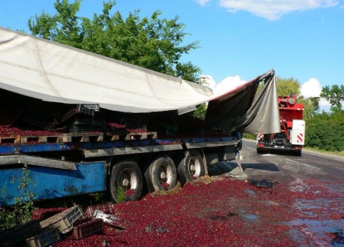 Truck Full of Cherries Accident (12 pics)