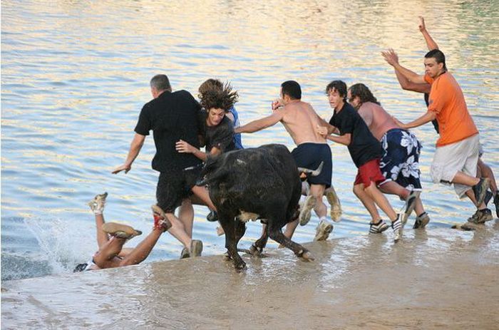 Running with Bulls (25 pics)