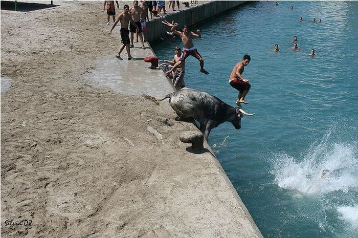 Running with Bulls (25 pics)