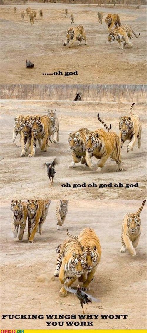Funny Commixed pictures. Part 4 (57 pics)