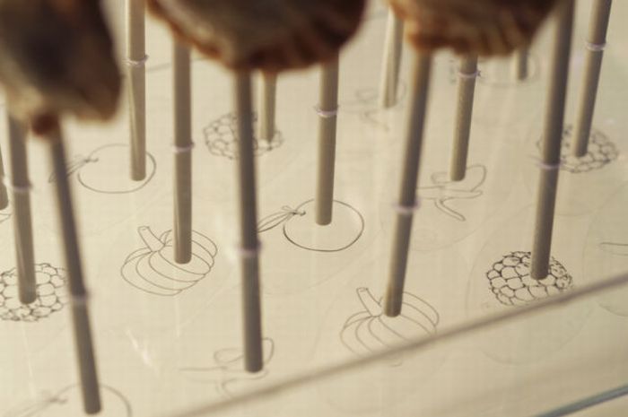 Pies on Sticks (29 pics)