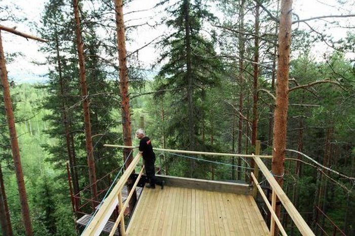 Treehotel in Sweden (14 pics)