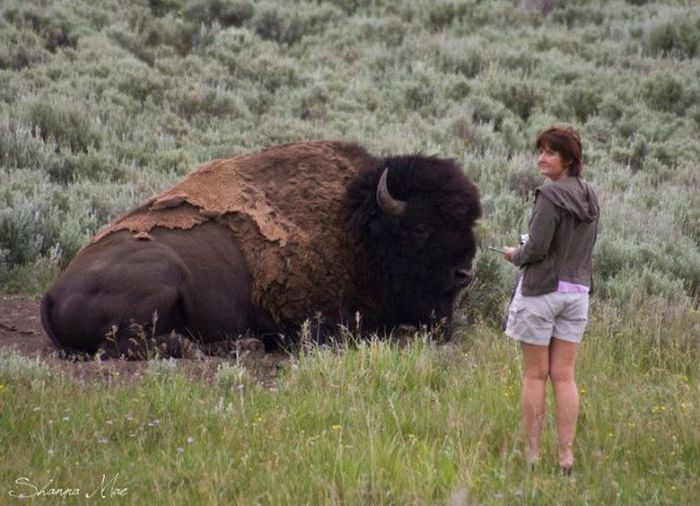 Acid Picdump (120 pics)