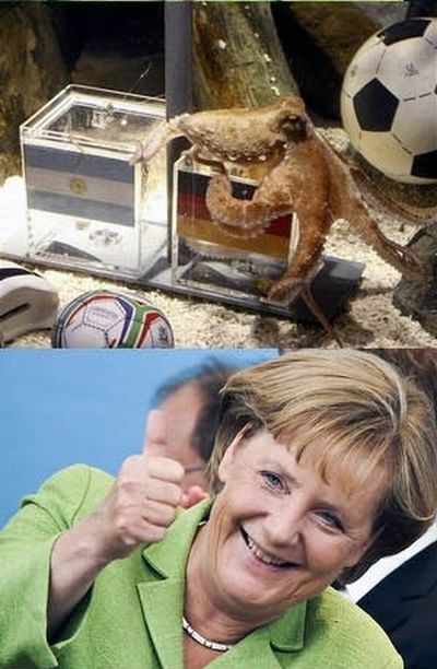 The Sad End of Paul the Octopus (4 pics)