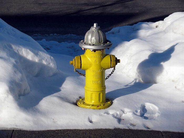 Creative Fire Hydrants (15 pics)