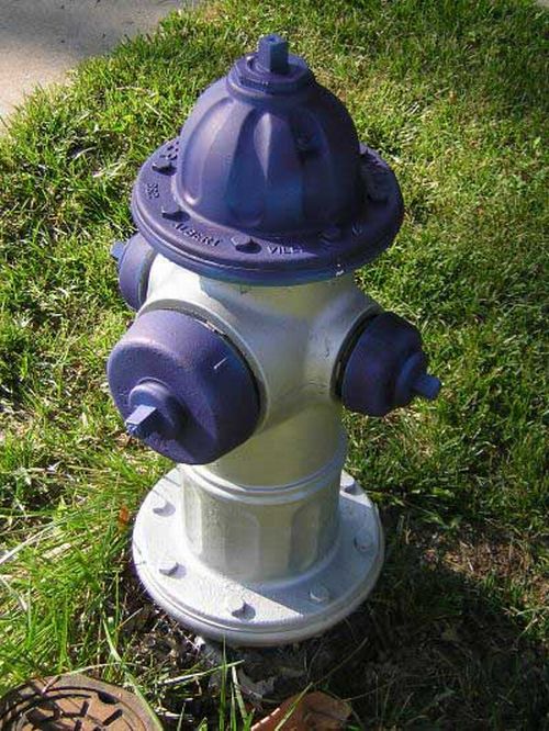 Creative Fire Hydrants (15 pics)