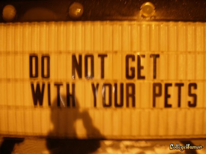 Funny Signs (19 pics)