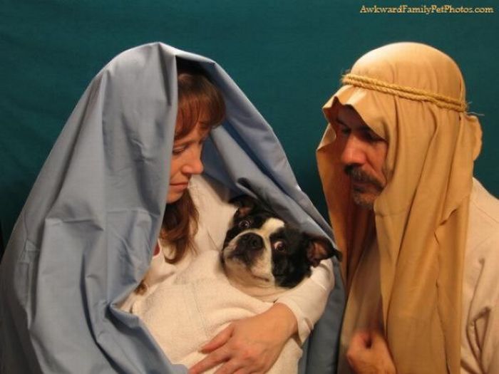 Funny Family Photos With Pets (30 pics)