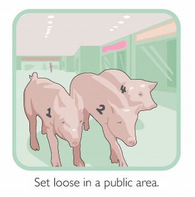Pig Prank (4 pics)