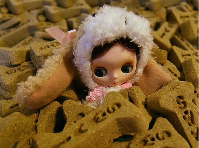 Beautiful Toy Photography (54 pics)
