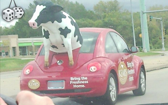 Funny and Weird Vehicles. Part 2 (80 pics)