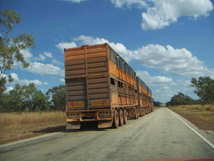 Road Trains (13 pics)