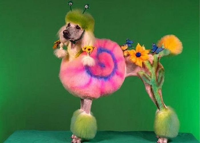 Worst Dog Haircuts (49 pics)