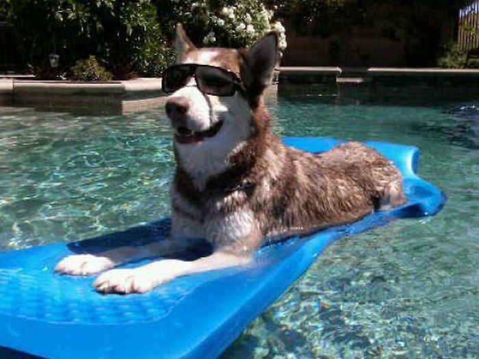 Acid Picdump (125 pics)