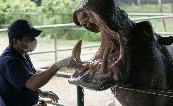 Acid Picdump (125 pics)