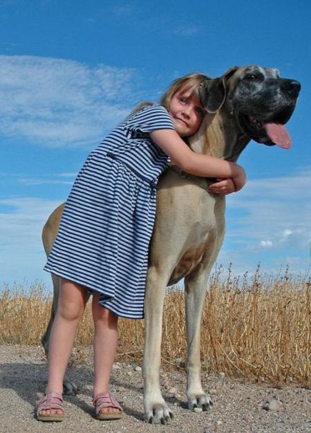 Acid Picdump (125 pics)