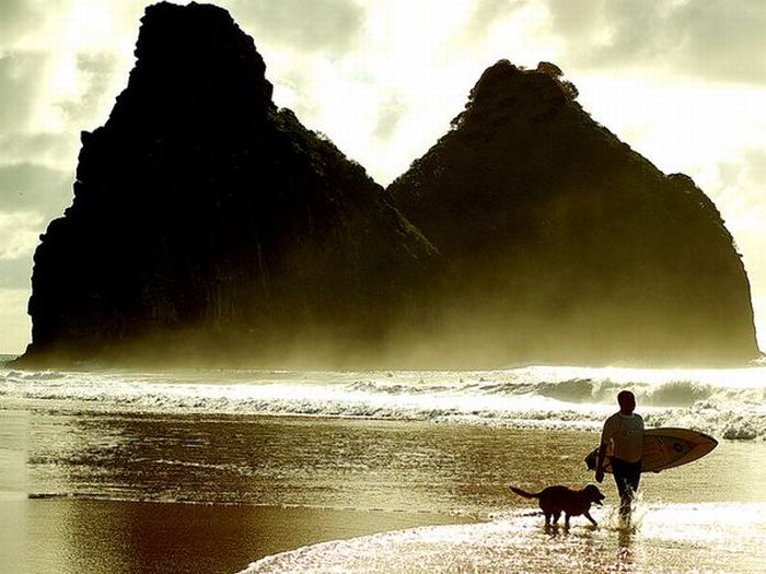 Beach Adventures (11 pics)