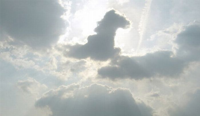 Cloud Formations in the Form of Horses (17 pics)