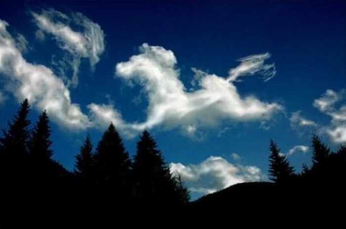 Cloud Formations in the Form of Horses (17 pics)