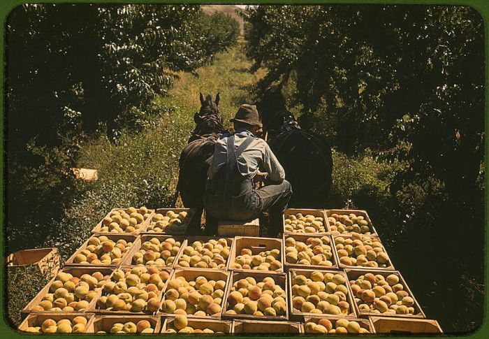 America in Color from 1939-1943 (70 pics)