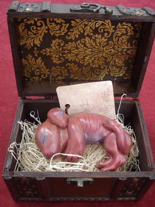 Bizarre Chimera Fetus (9 pics)