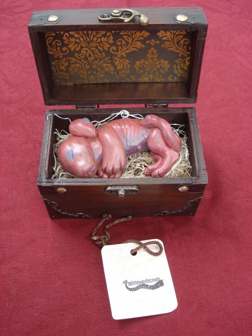 Bizarre Chimera Fetus (9 pics)