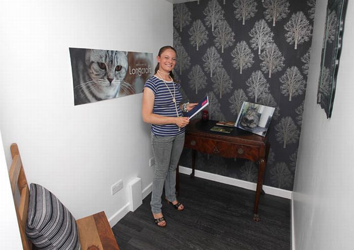 Luxury Cat Hotel in UK (14 pics)