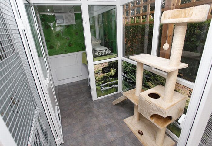 Luxury Cat Hotel in UK (14 pics)