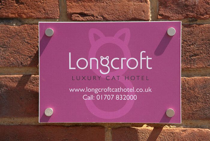 Luxury Cat Hotel in UK (14 pics)
