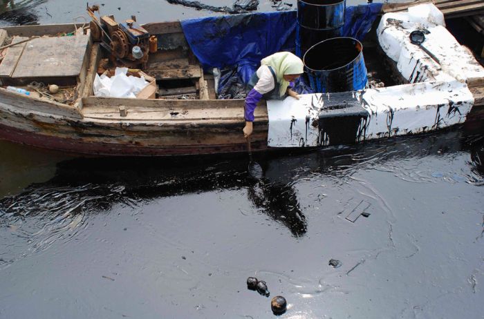 Cleaning Dalian Harbor (38 pics)
