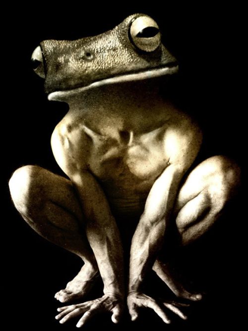 Scary Creatures of Francesco Sambo (8 pics)