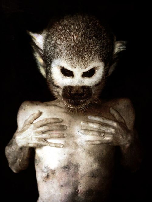 Scary Creatures of Francesco Sambo (8 pics)