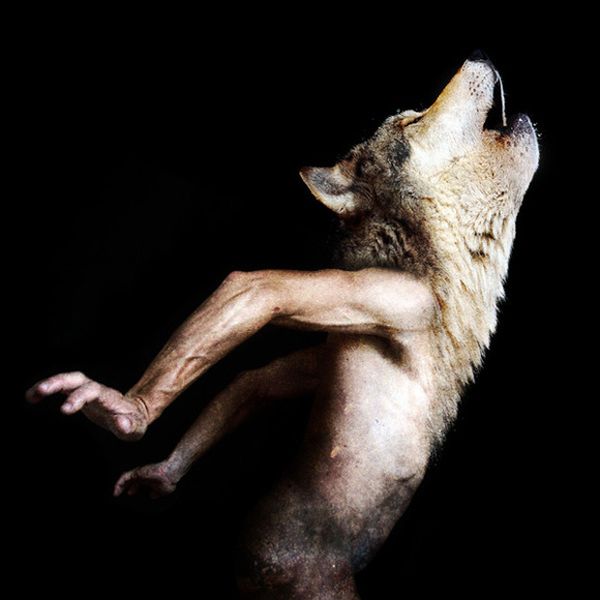 Scary Creatures of Francesco Sambo (8 pics)