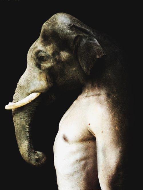 Scary Creatures of Francesco Sambo (8 pics)