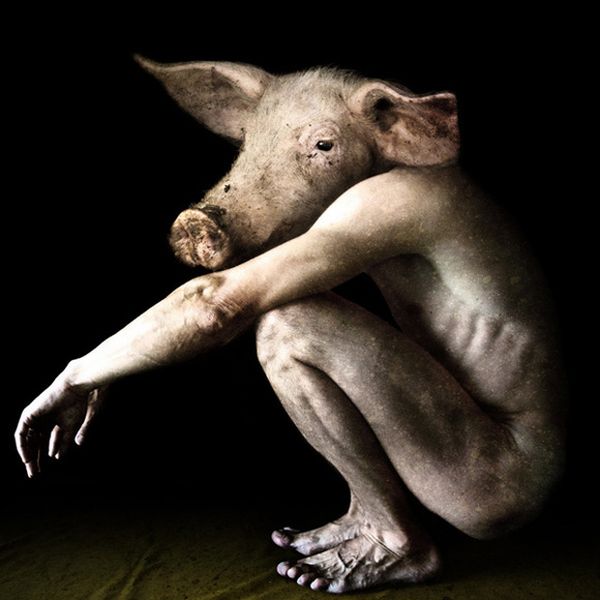 Scary Creatures of Francesco Sambo (8 pics)