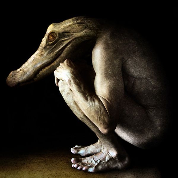 Scary Creatures of Francesco Sambo (8 pics)