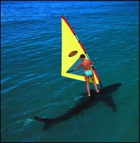 Acid Picdump (133 pics)