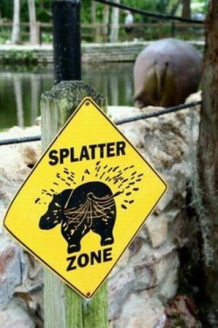 Acid Picdump (133 pics)