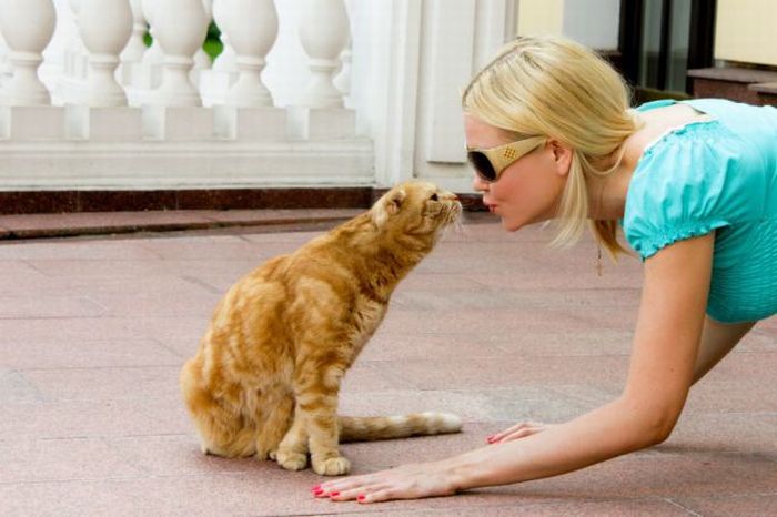 Acid Picdump (133 pics)