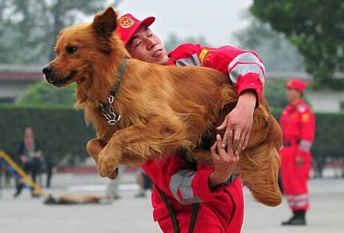 Acid Picdump (133 pics)