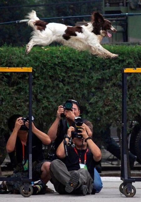 Acid Picdump (133 pics)