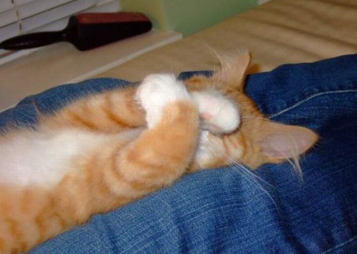 Acid Picdump (133 pics)