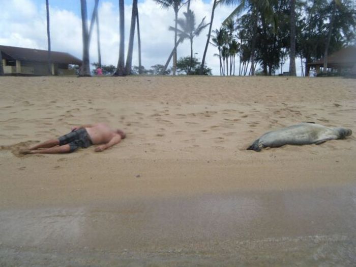 Acid Picdump (133 pics)