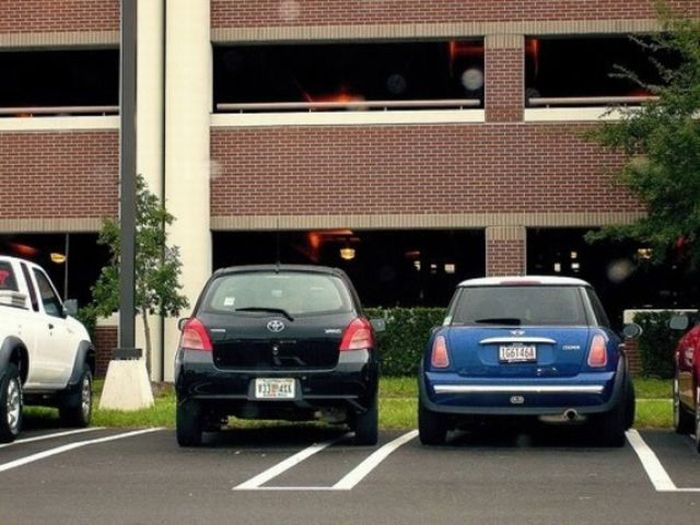 Parking Lot Disasters (55 pics)