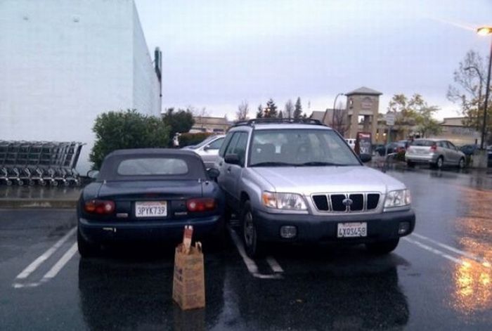 Parking Lot Disasters (55 pics)