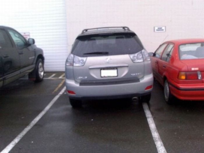 Parking Lot Disasters (55 pics)